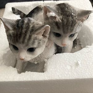 7.5inch by 7.5 inches by 7.5 inches gray playful kitten